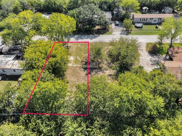 a view of a garden with plants