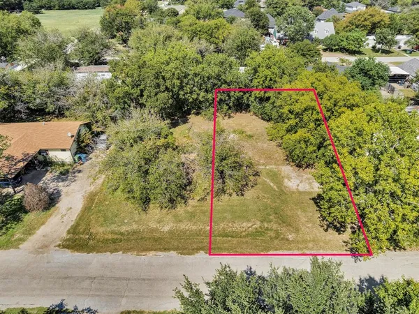 a view of a yard with plants