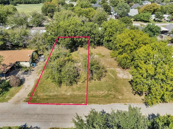 a view of a yard with a tree