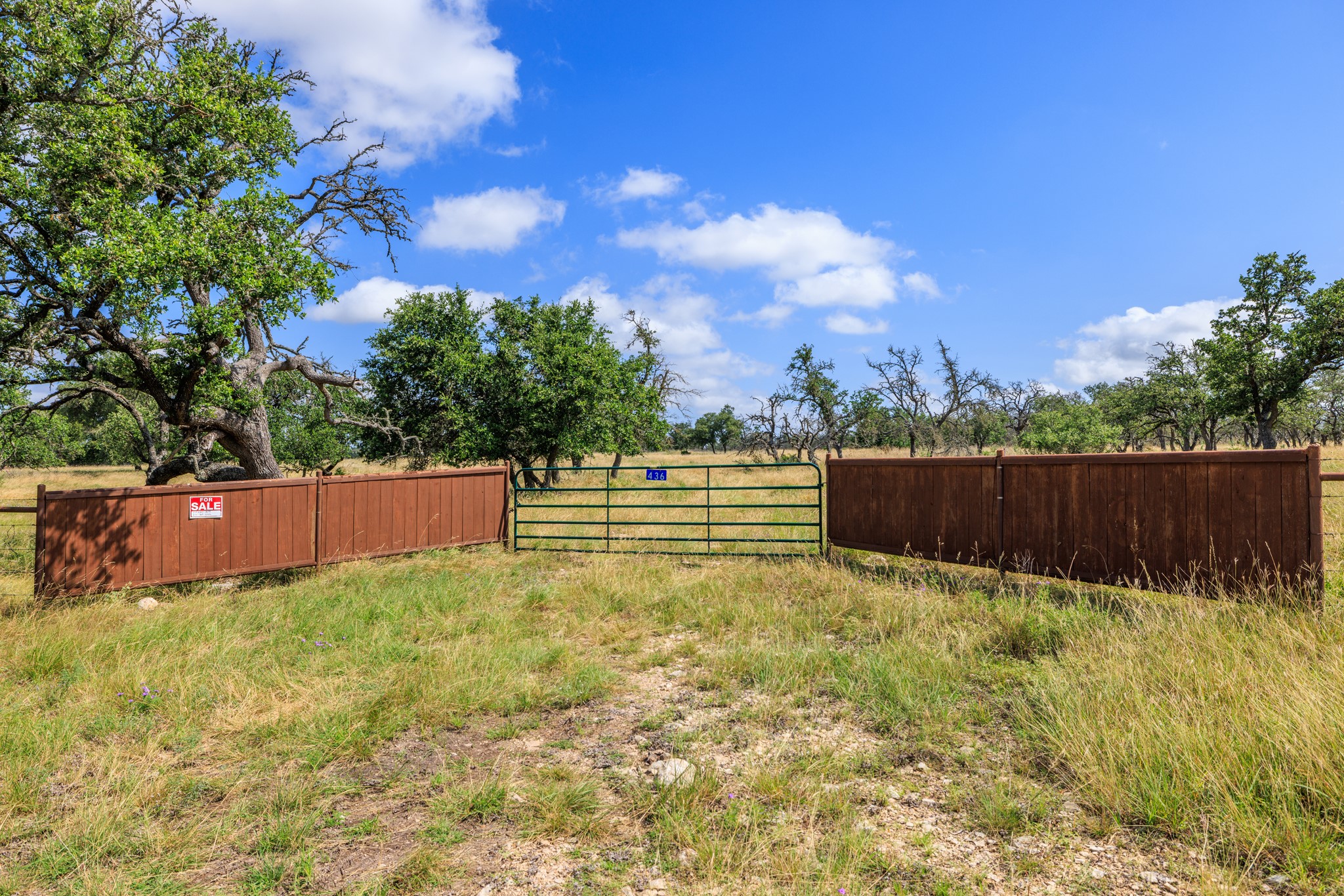 436 Stevens Ranch Road Harper, TX 78631 - Photo 7 of 31 Mature trees and open skies frame this gated entrance leading to an expansive acreage.