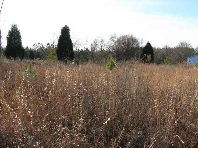1645 Agnew Road Starr, SC 29684 - Photo 1 of 1 Gallery Image 1