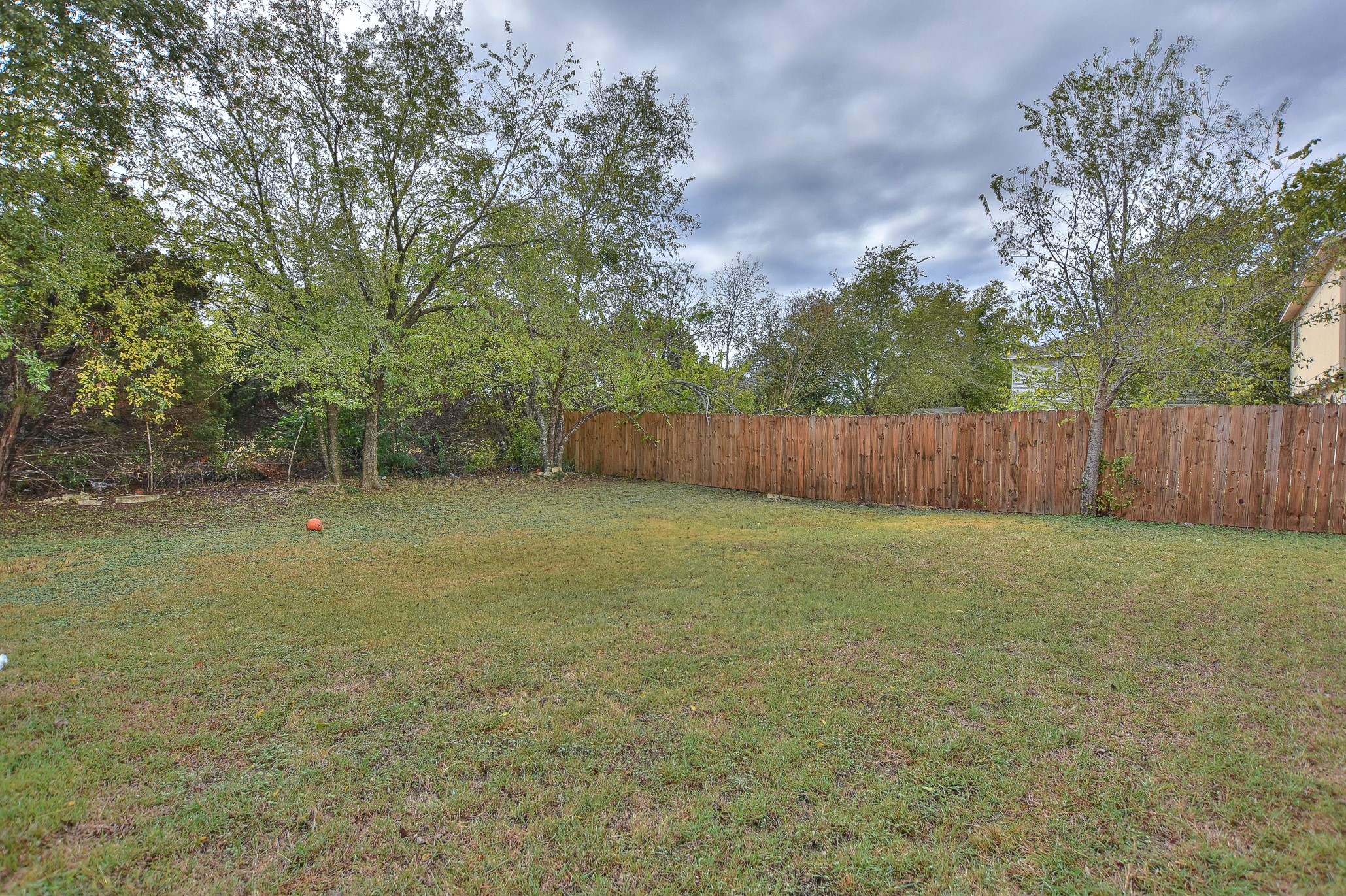 1204 Southwalk Street Georgetown, TX 78626 - Photo 19 of 19 Back Yard