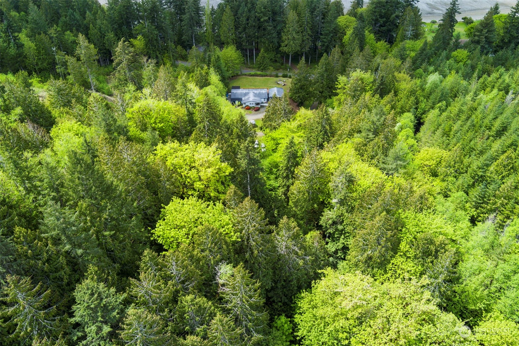 2123 East Quilcene Road Quilcene, WA 98376 - Photo 36 of 37 a view of a garden with a house