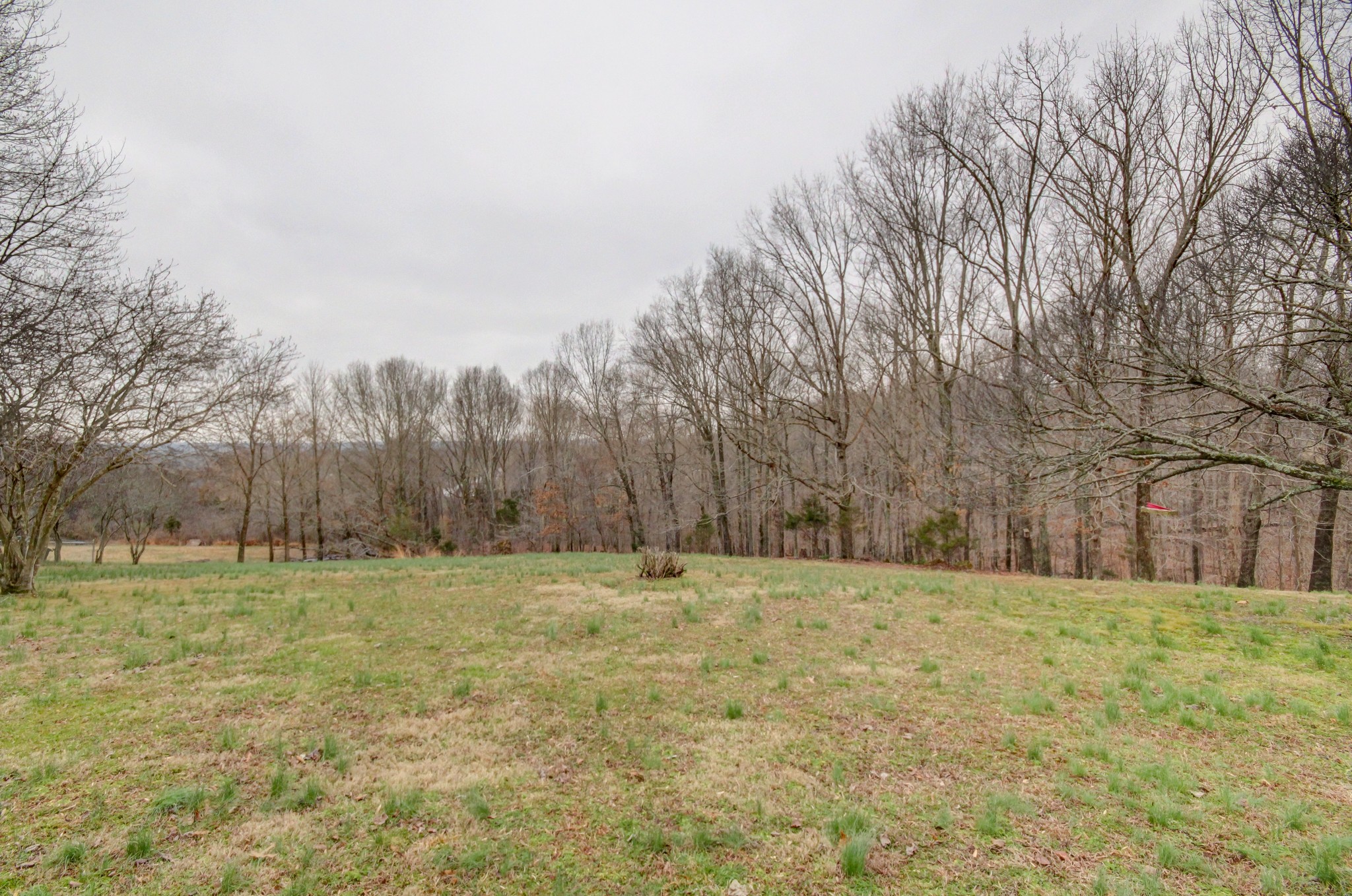 1672 Haynes Road Woodlawn, TN 37191 - Photo 3 of 54 Gallery Image 3