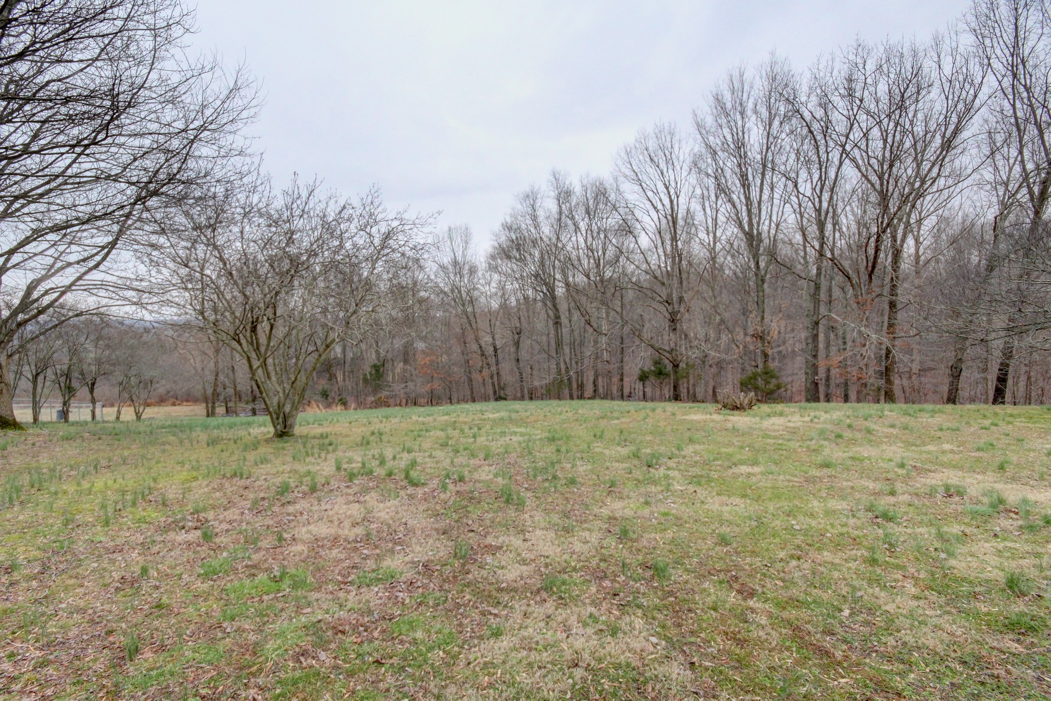 1672 Haynes Road Woodlawn, TN 37191 - Photo 4 of 54 Gallery Image 4