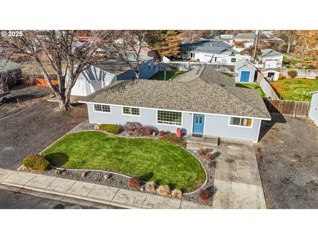 a view of a yard in front of a house with a large tree