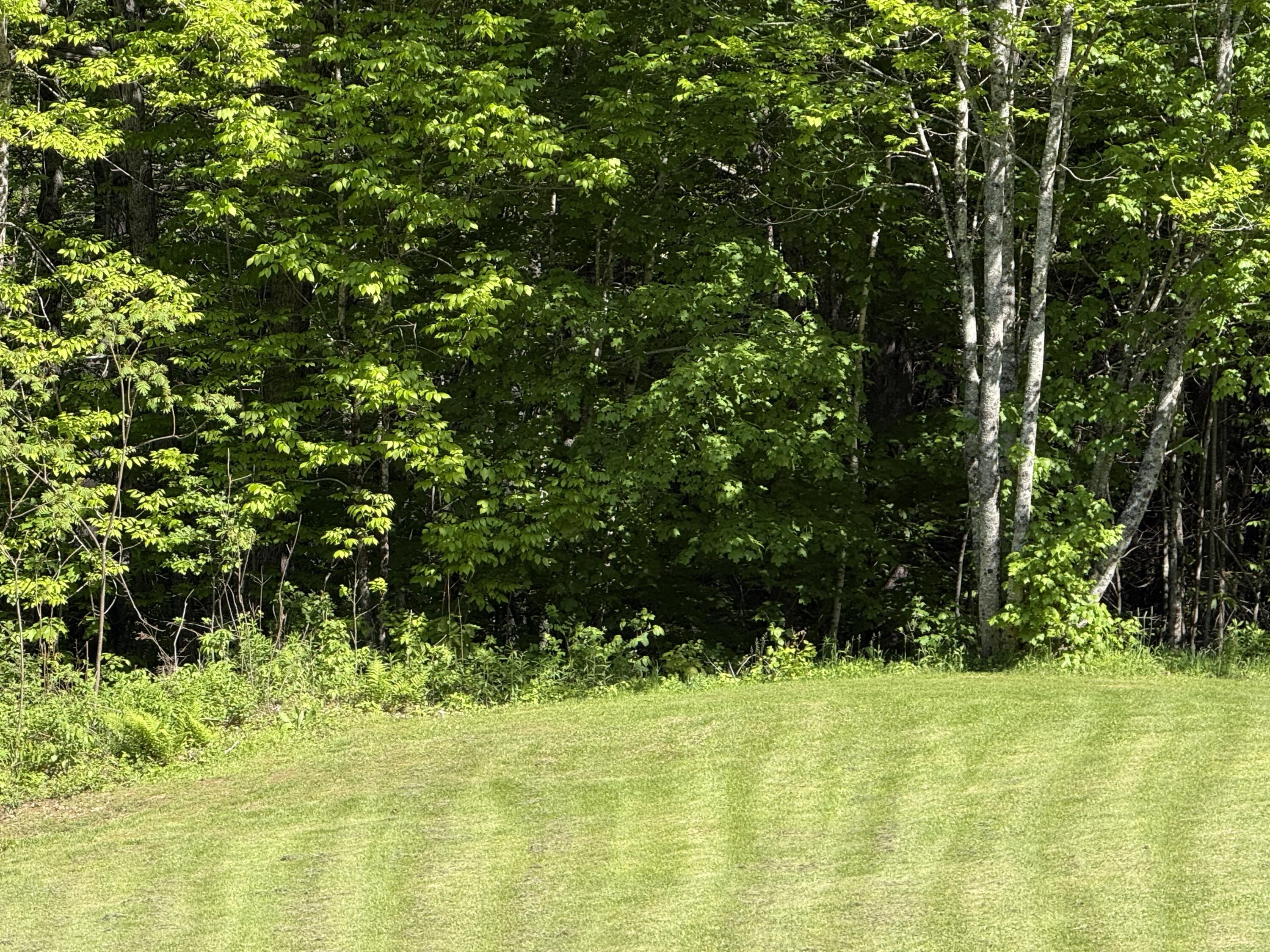 M10-l28-c Weeks Mills Road Windsor, ME 04363 - Photo 2 of 4 IMG_2984