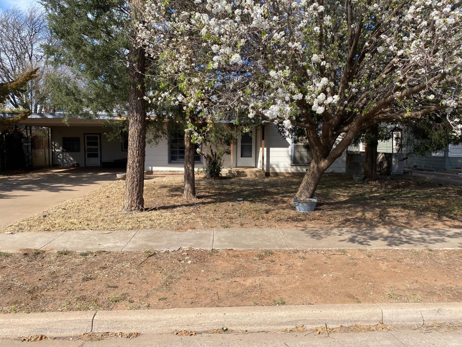 2422 33rd Street Lubbock, TX 79411 - Photo 2 of 35 a tree in front of a white house