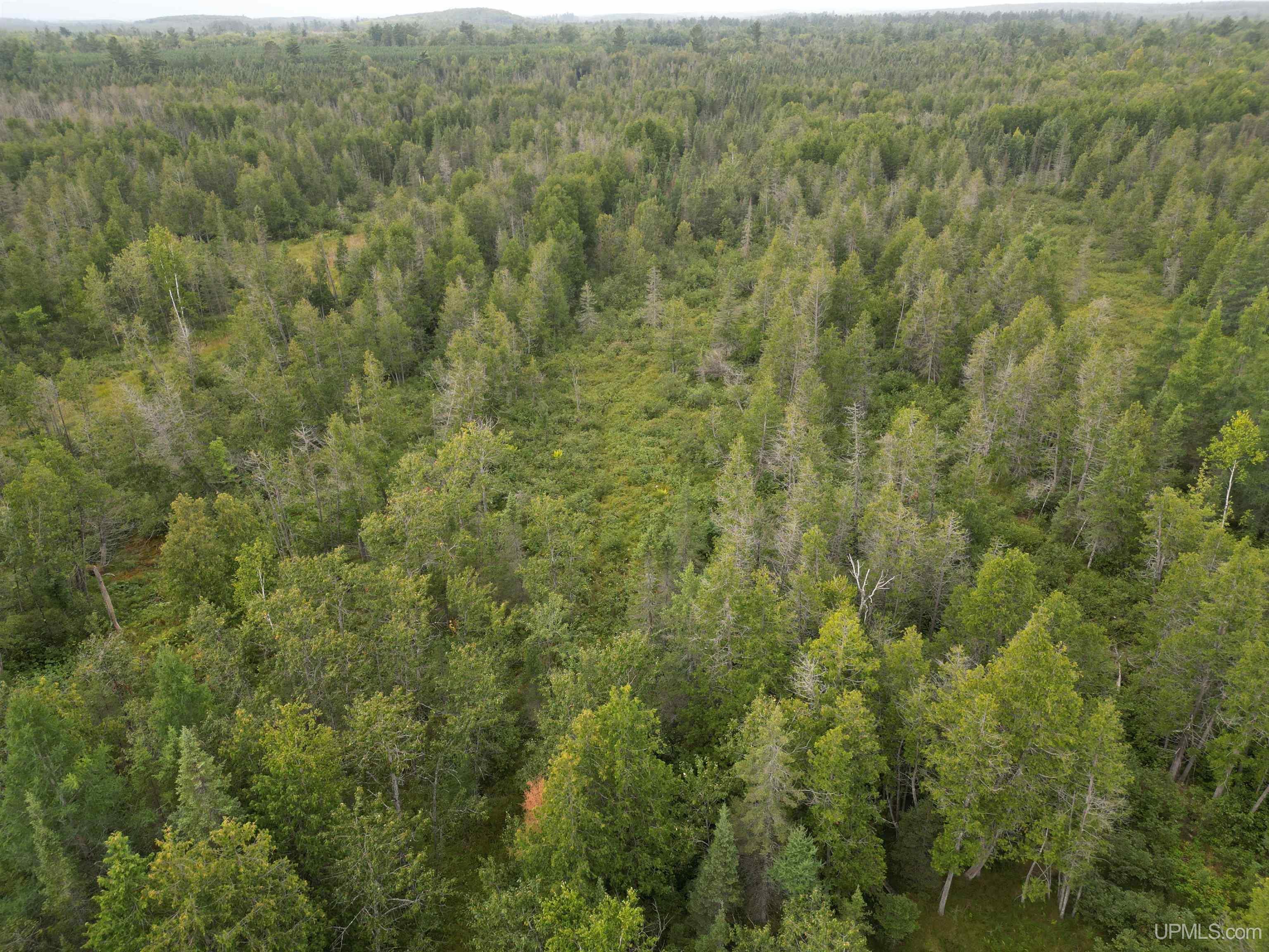 Tbd Tbd County Road, Unit 1 Cornell, MI 49818 - Photo 6 of 41