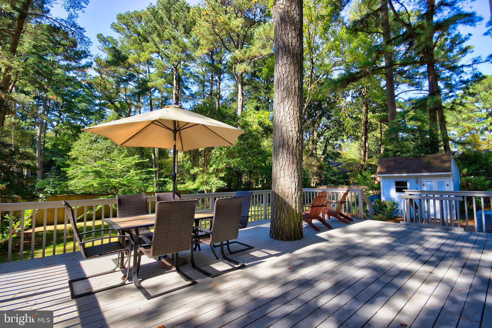 503 Douglas Road Salisbury, MD 21801 - Photo 20 of 23 Gallery Image 20