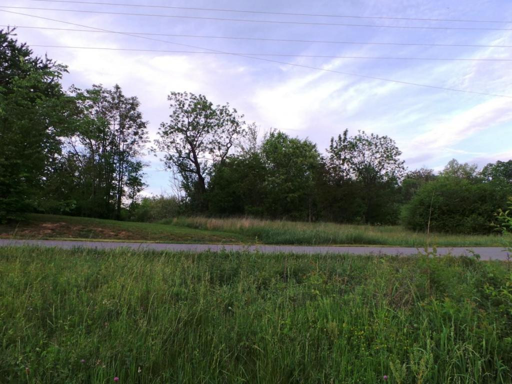 555 Providence Road Limestone, TN 37681 - Photo 12 of 24 Photo 12