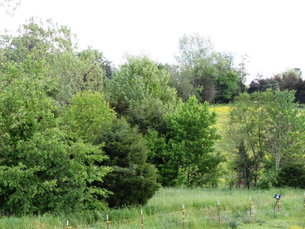 555 Providence Road Limestone, TN 37681 - Photo 4 of 24 Photo 4