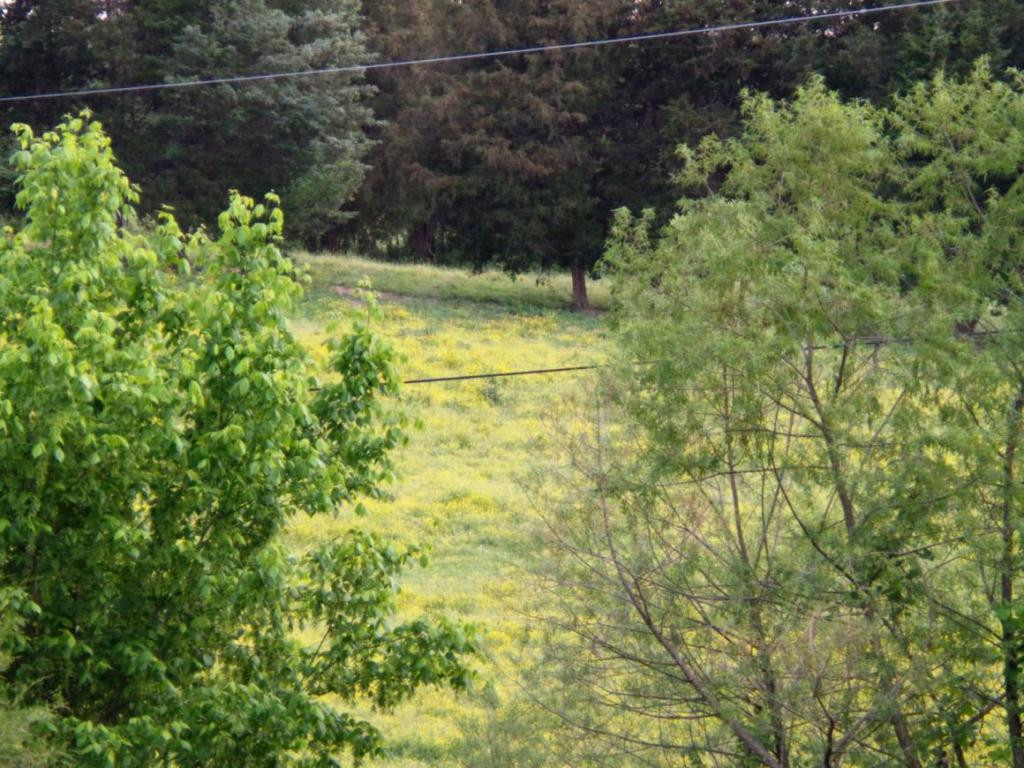 555 Providence Road Limestone, TN 37681 - Photo 8 of 24 Photo 8