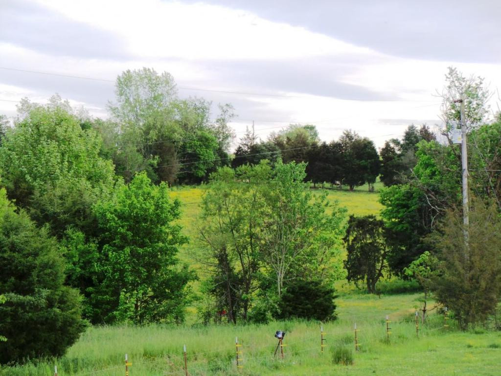 555 Providence Road Limestone, TN 37681 - Photo 9 of 24 Photo 9