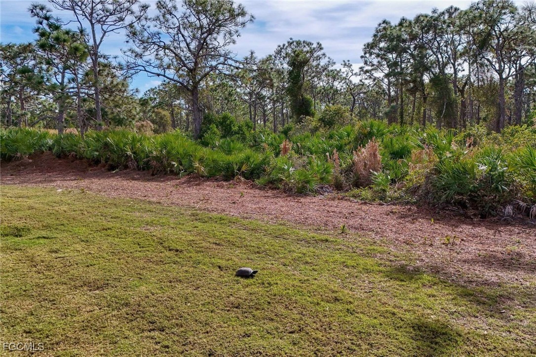 6142 Calusa Rdg Trail Bokeelia, FL 33922 - Photo 32 of 43 a view of a yard with a tree
