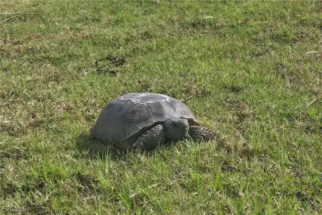 $1,150,000 | 6142 Calusa Rdg Trail, Bokeelia, FL 33922