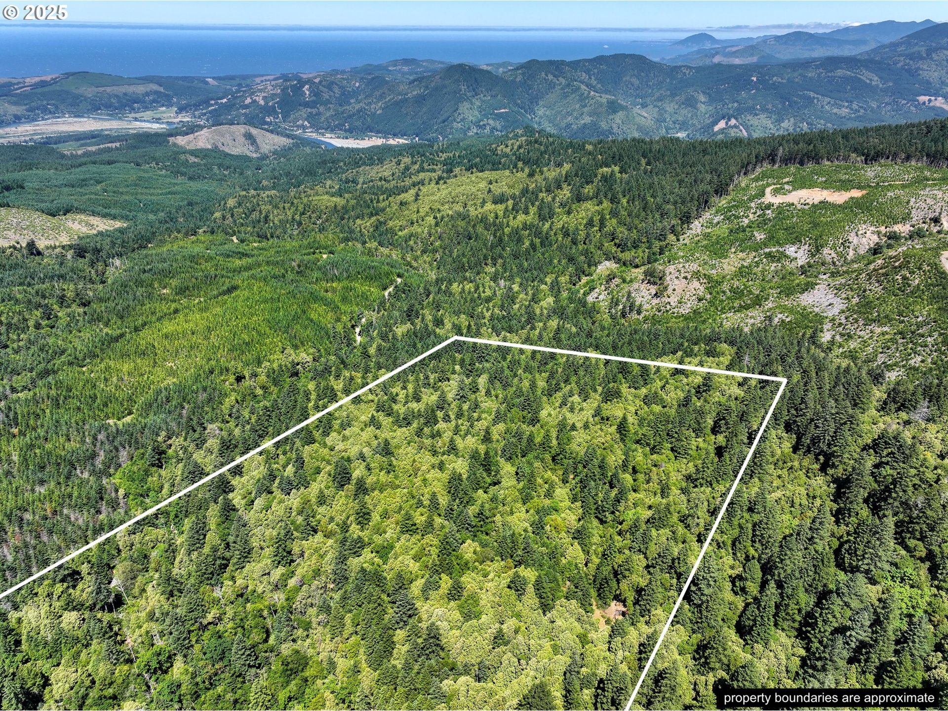 0 Signal Buttes Road Gold Beach, OR 97444 - Photo 4 of 23 Gallery Image 4