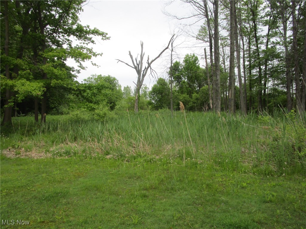 5153 New London Road Geneva, OH 44041 - Photo 41 of 45 Gallery Image 41