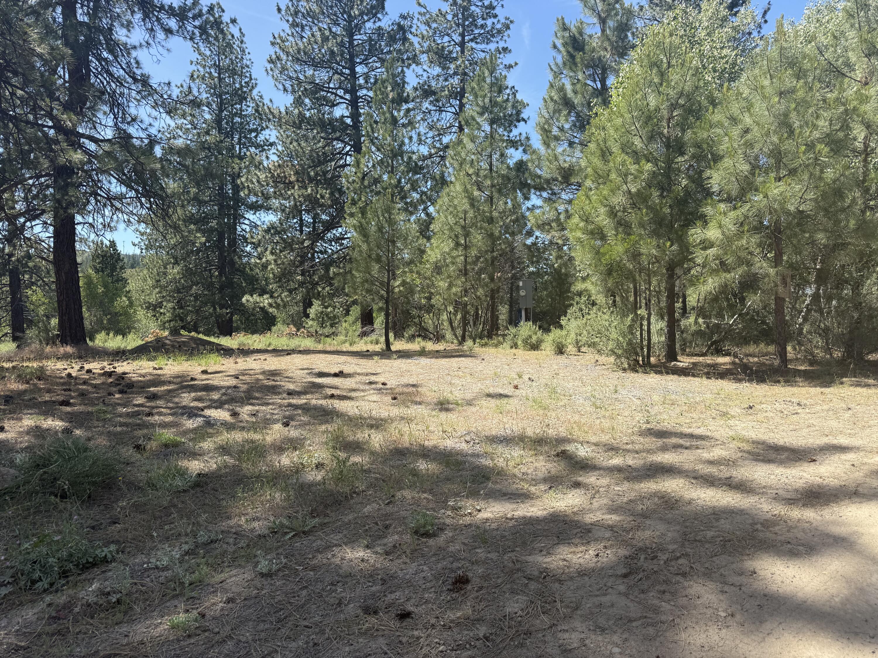 40222 Lobart Way Chiloquin, OR 97624 - Photo 3 of 10 IMG_2540