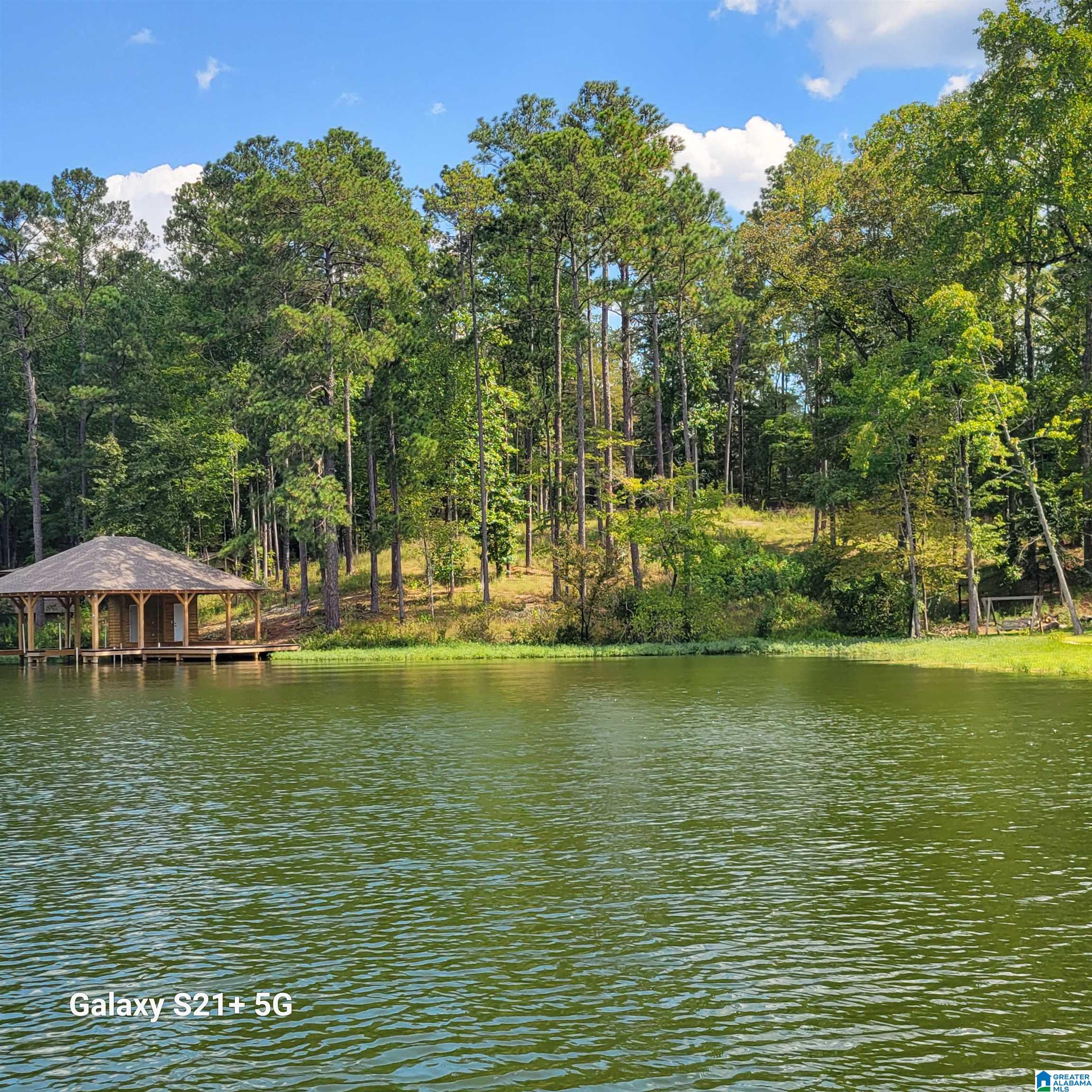 1830 Mimosa Point Road, Unit 5 Rockford, AL 35136 - Photo 22 of 25