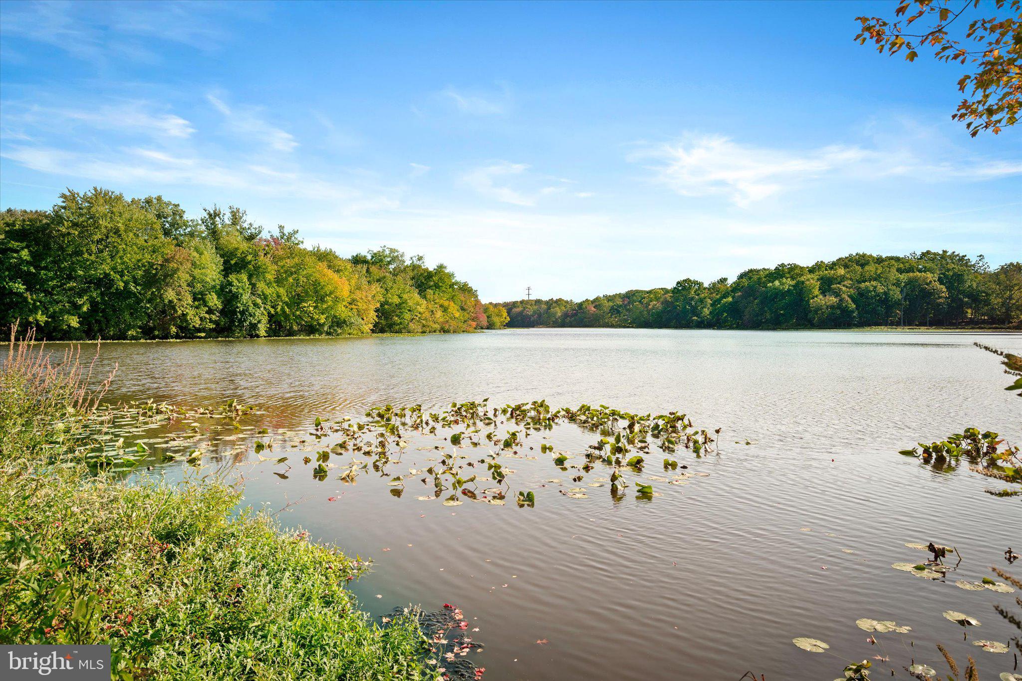 175 Cranbury Road West Windsor, NJ 08550 - Photo 10 of 63 Gallery Image 10