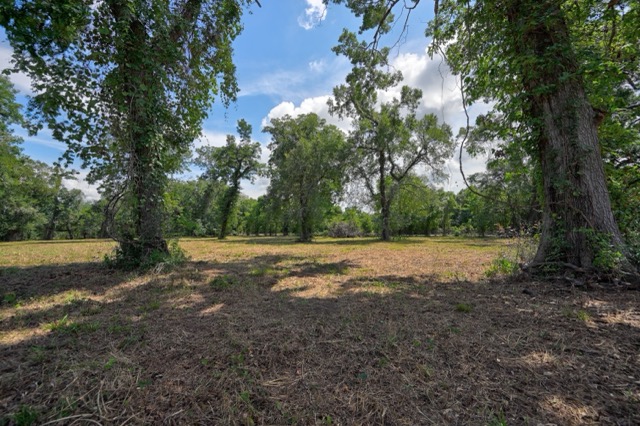 Tbd Pryor Road Brookshire, TX 77423 - Photo 16 of 31 Gallery Image 16