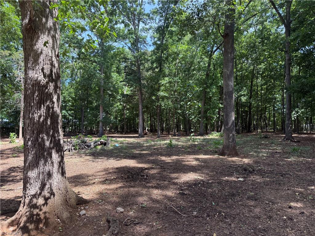 6540 Bringle Ferry Road Salisbury, NC 28146 - Photo 15 of 28
