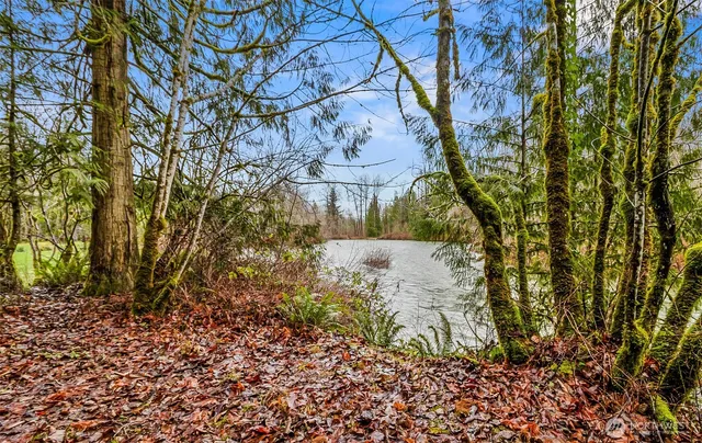 a view of statue in a garden