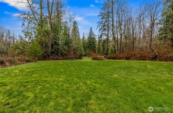 a view of a backyard with large trees
