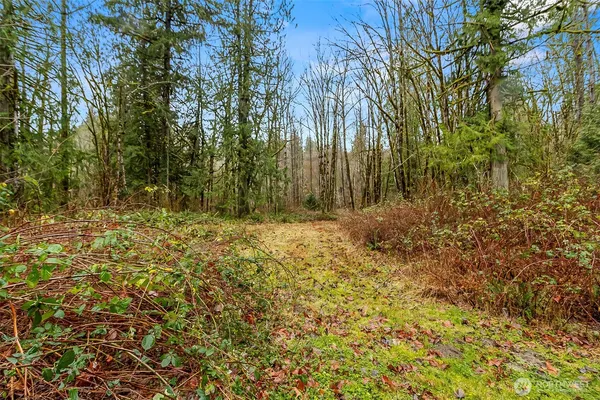 a view of backyard with green space