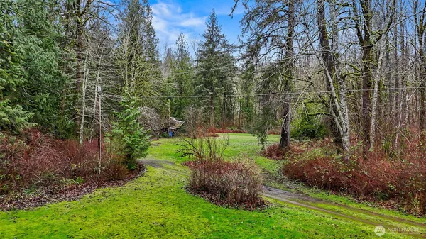 a view of a backyard with large trees