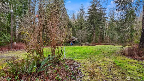 a view of a backyard