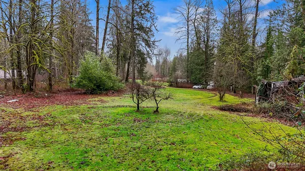 a view of a backyard with a slide