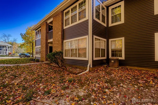 a house view with a backyard