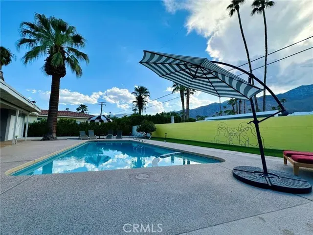 a view of a swimming pool with a yard and plants