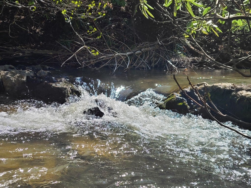 Tbd Falling Branch Road Northwest Floyd, VA 24091 - Photo 26 of 27 Gallery Image 26