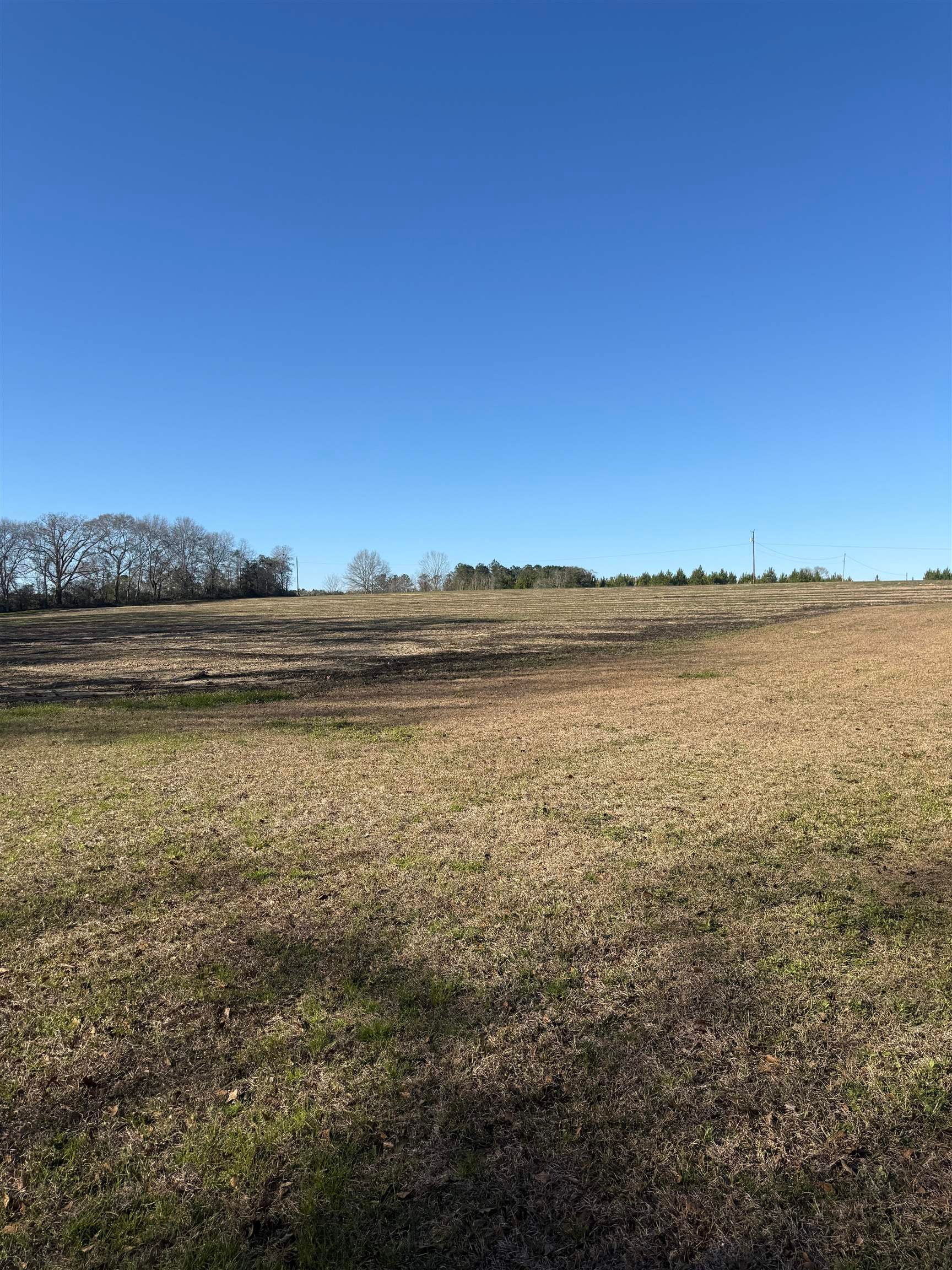 18827 Leon Wiggins Road Andalusia, AL 36420 - Photo 34 of 36 Gallery Image 34