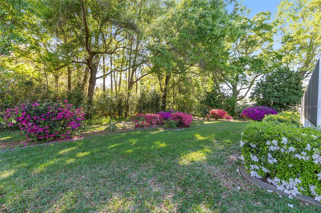 9620 Southwest 194th Circle Dunnellon, FL 34432 - Photo 34 of 53