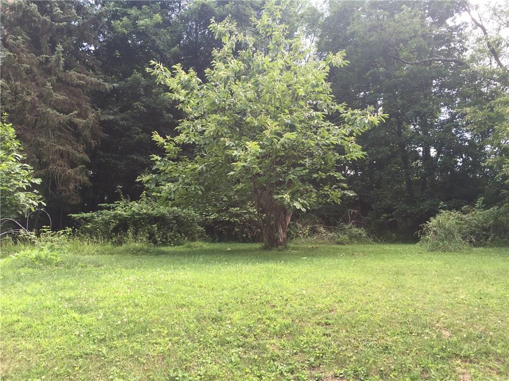 818 Schenley Road Leechburg, PA 15656 - Photo 15 of 17 Gallery Image 15