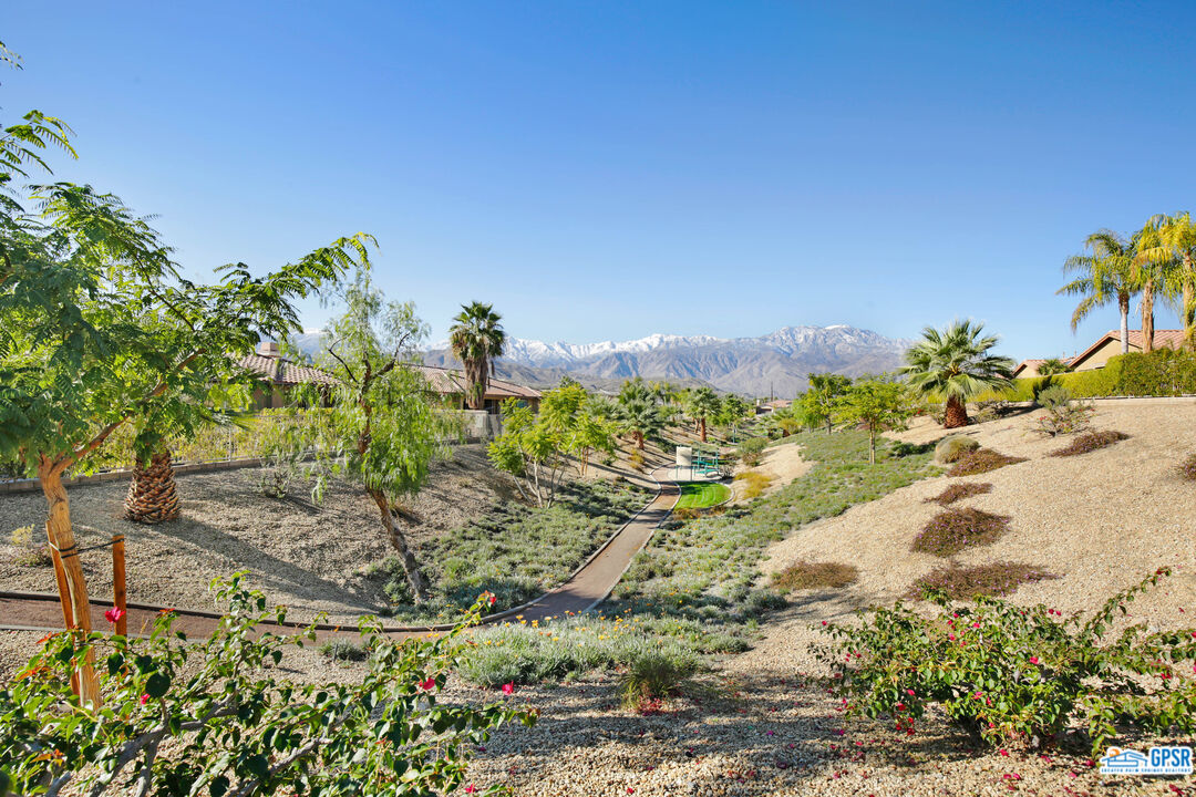 40 Shoreline Drive Rancho Mirage, CA 92270 - Photo 20 of 22 a view of a garden with a tree