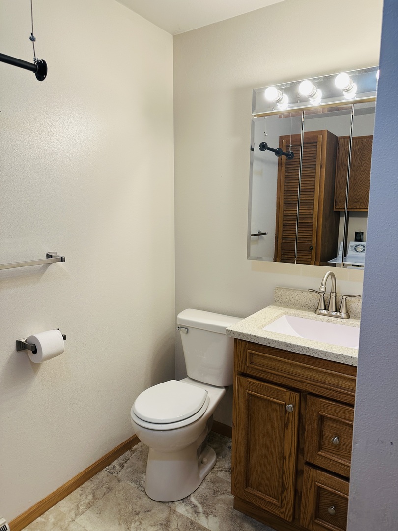 219 Palm Drive Lena, IL 61048 - Photo 31 of 50 a bathroom with a sink a toilet and mirror
