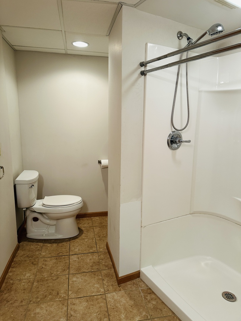 219 Palm Drive Lena, IL 61048 - Photo 43 of 50 a bathroom with a toilet and a shower