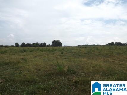 0 Highway 24 Oneonta Al Oneonta, AL 35121 - Photo 13 of 27