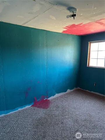 a view of a large yard with a tree