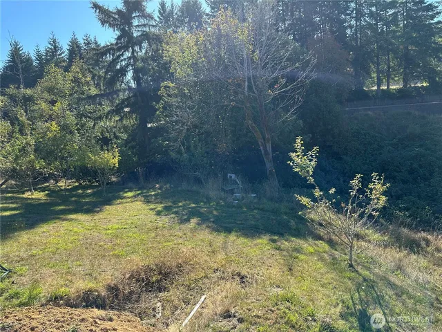 a view of an outdoor space and a yard