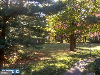 4802 Argyle Road Brookhaven, PA 19015 - Photo 11 of 12 View