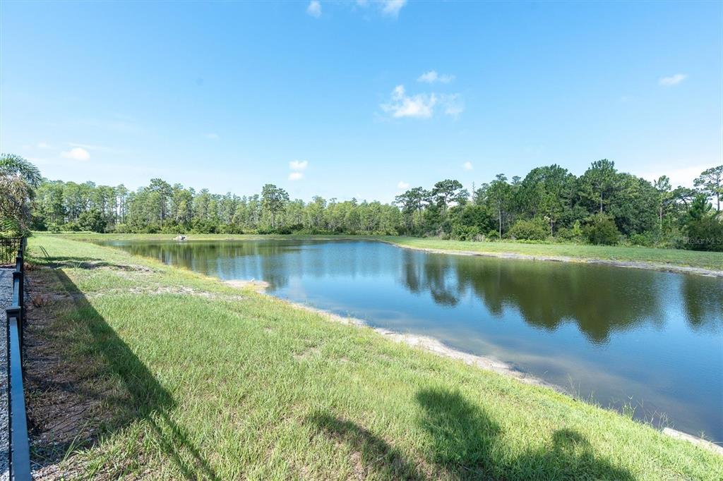4434 Tatum Loop Odessa, FL 33556 - Photo 53 of 65