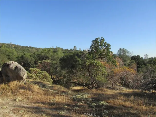 a view of lake with green space
