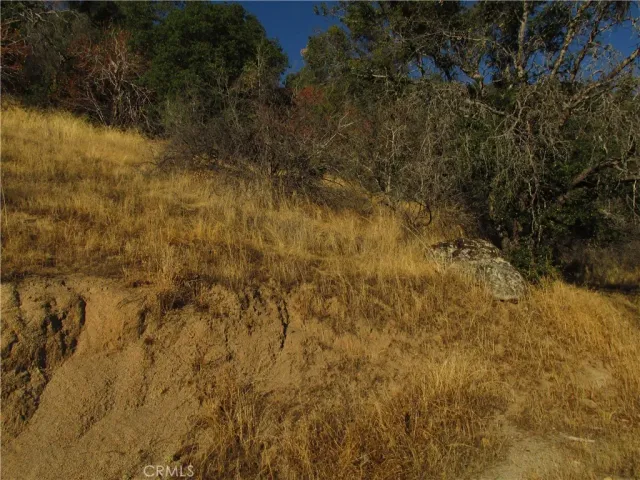 a view of a city with lush green forest