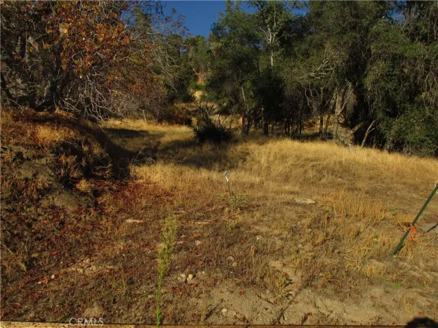 a view of outdoor space and yard